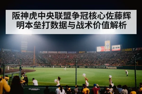 baseball stadium crowd night